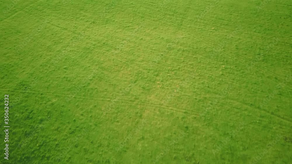 Aerial video flying over green grass field during sunset in spring time Aerial video flying over green grass field during sunset in spring time