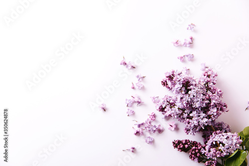 Frame of lilac flowers with space for text on white background. Flat lay  top view