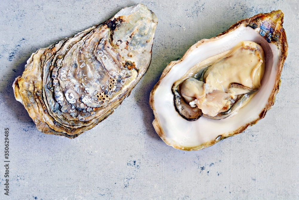 Mediterranean oysters on a light background. Sea delicacy.