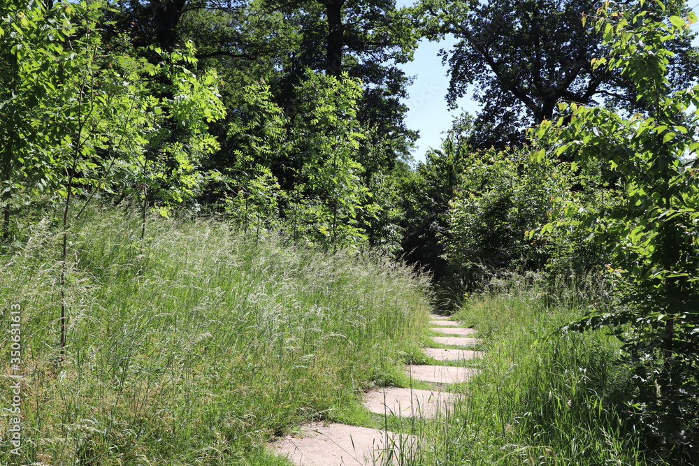 Le parc du vallon, jardin public dans le quartier de la Duchère à Lyon - Ville de Lyon - 9 ème arrondissement - Département du Rhône - France Le parc du vallon, jardin public dans le quartier de la Duchère à Lyon - Ville de Lyon - 9 ème arrondissement - Département du Rhône - France