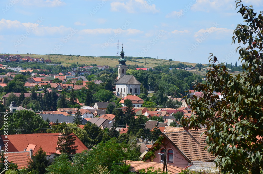 view of the old town of Eger