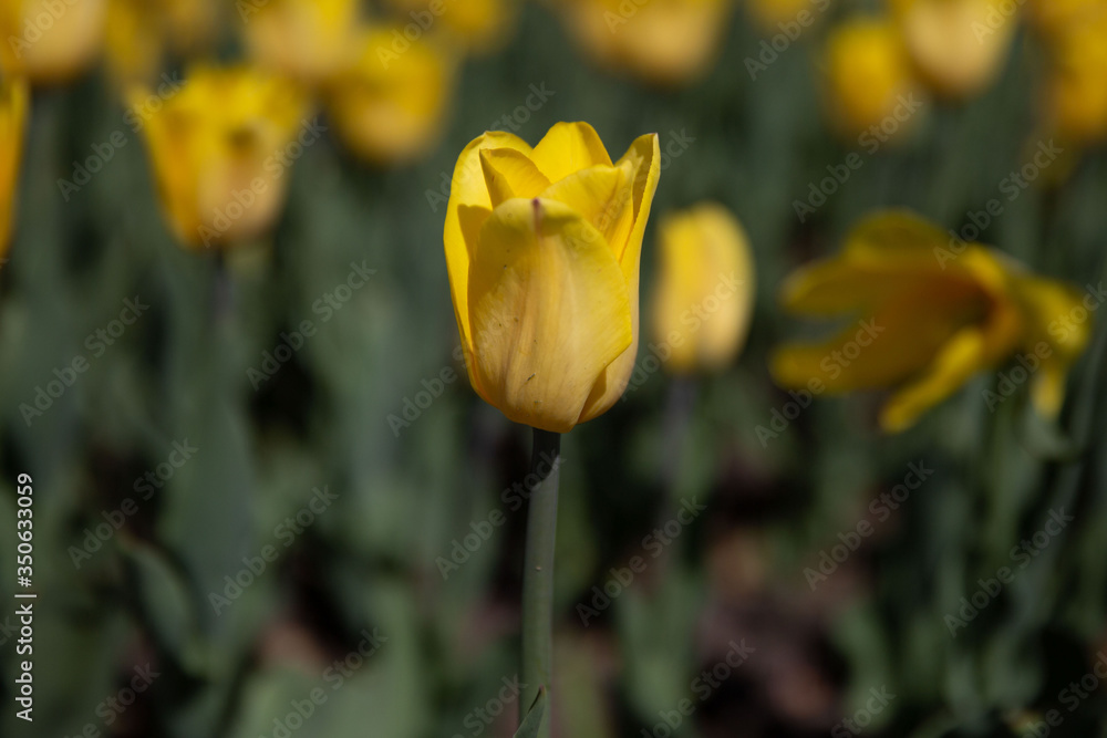 09.05.2019 09.05.2019