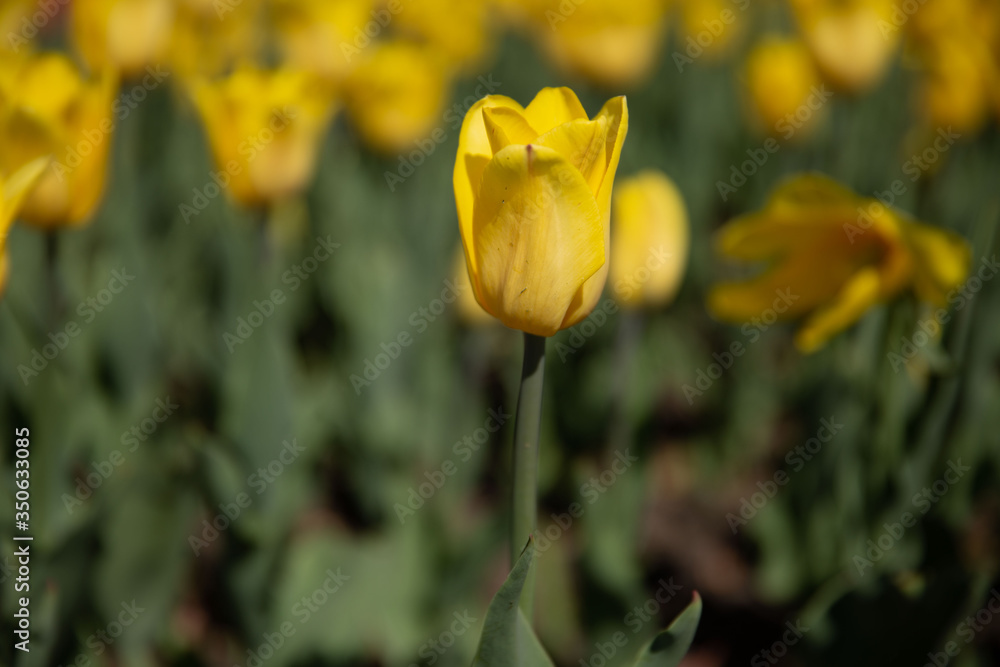 09.05.2019 09.05.2019