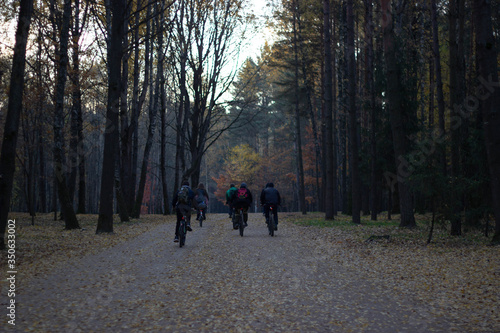 walking in the woods © Yury