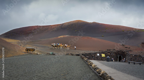 Lanzarote, przejażdżka na wielbłądzie - Echadero de los Camellos photo