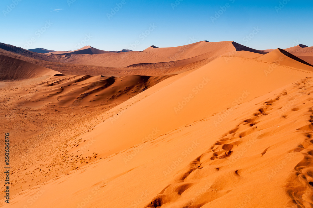 Spuren im Sand der Wüste Namib