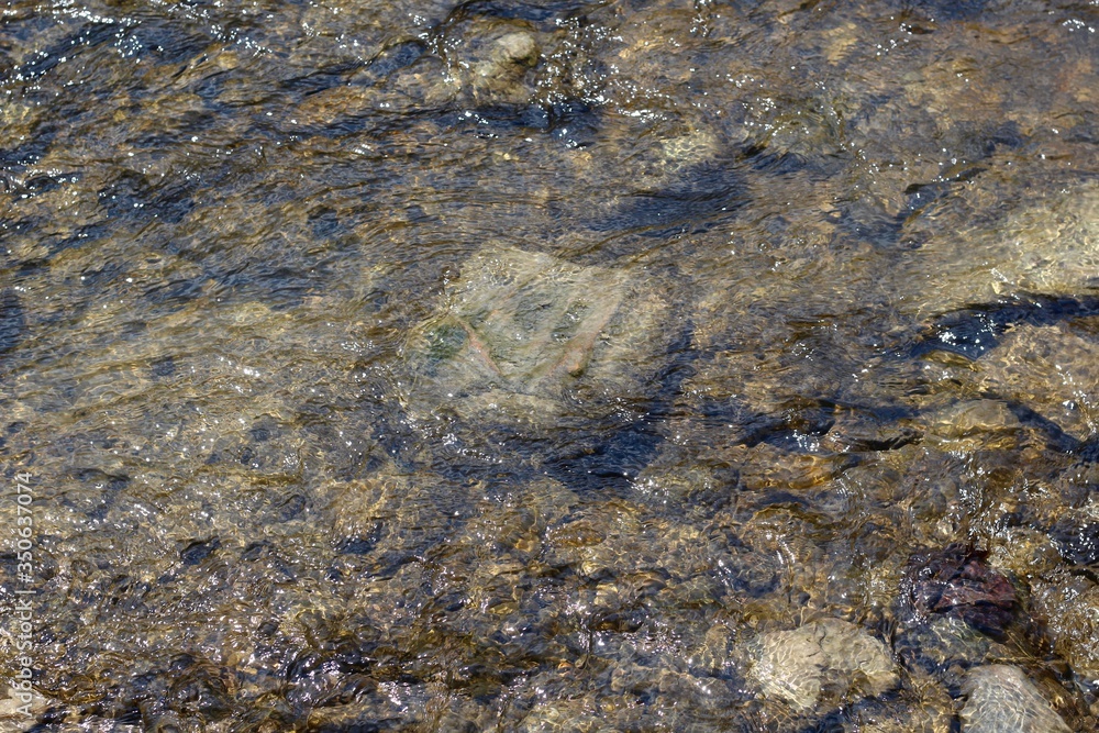 A close view of the rocks in the water of the creek.