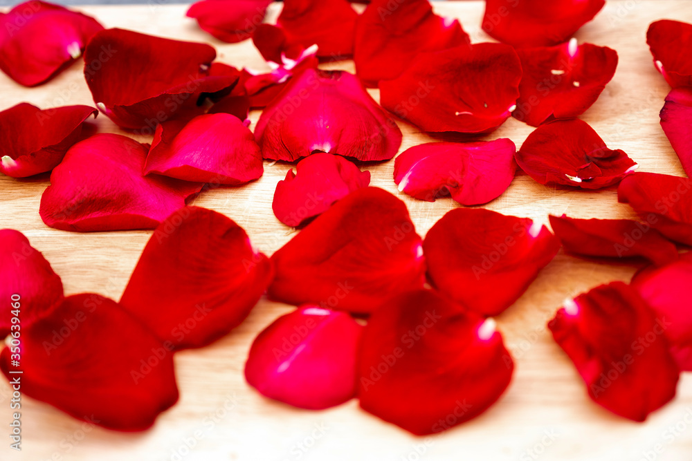 Picture of rose petals on a wooden background