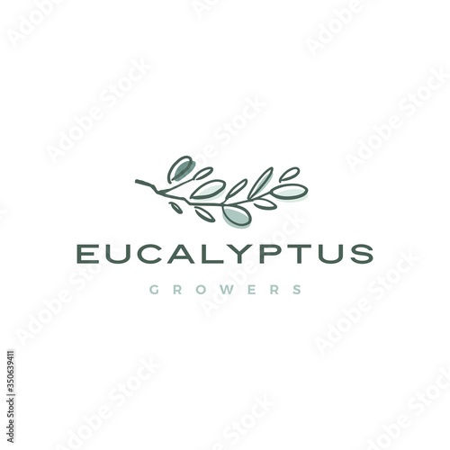 eucalyptus logo vector icon illustration