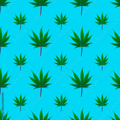 Seamless pattern of cannabis fresh green leaf on a plain background 