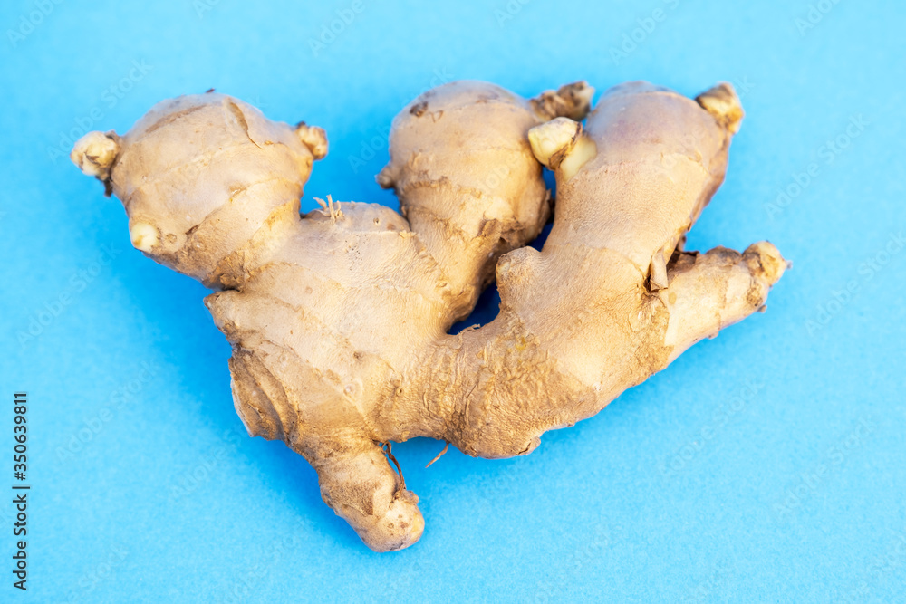 Picture of Ginger isolated on a blue background Picture of Ginger isolated on a blue background