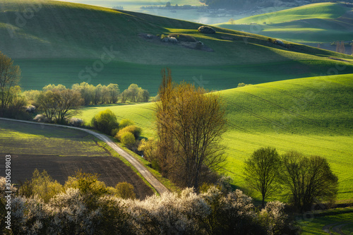 Spring landscape with trees, fields and meadows in Turiec region, Slovakia. Wavy country scenery at sunrise.
