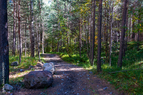 photo of a path in Dombai