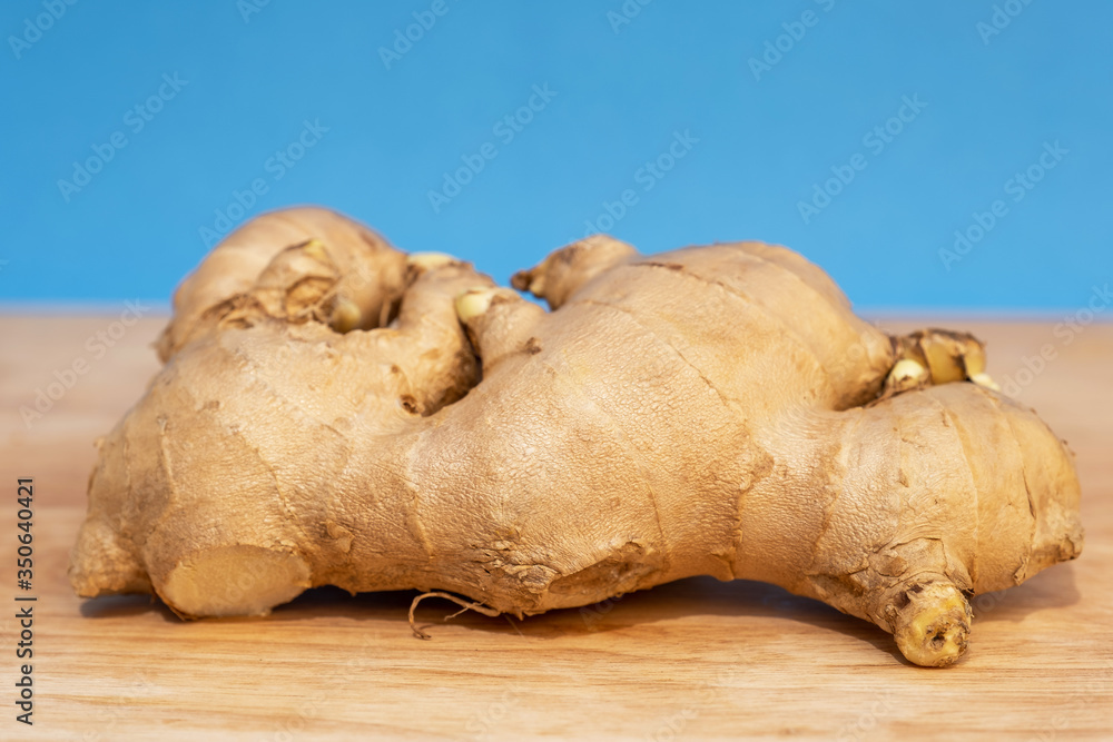 Picture of Ginger isolated on a blue background