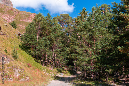 photo of mountains in Dombai Russia