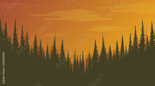 Foggy Pine Forest,landscape background,sunshine and sunrise concept design.