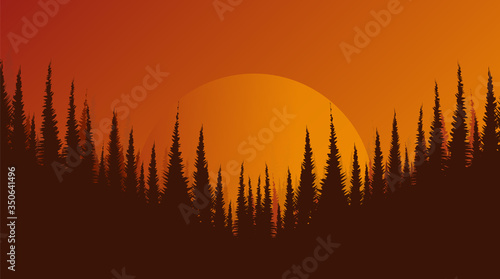 Beautiful Pine Forest,landscape background,sunshine and sunrise concept design.