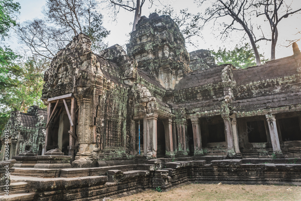 Huge Banyan Tree Ancient Angkor Wat Ruins. Banteay Kdei Temple. Siem Reap, Cambodia 