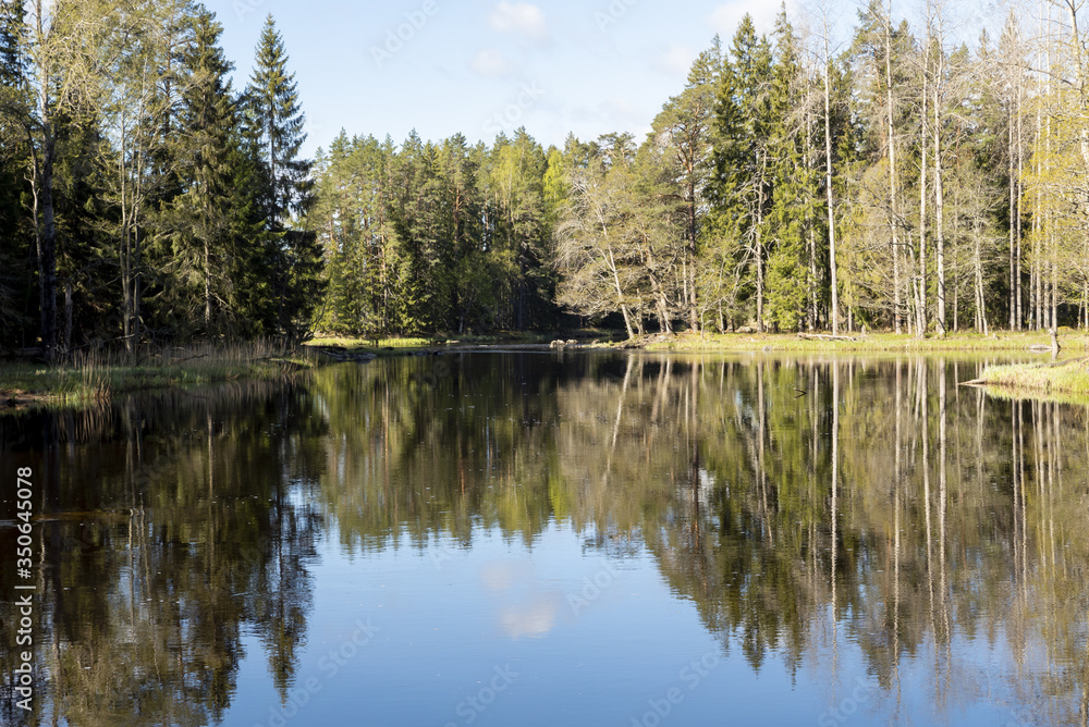 Scenic view of a river landscape in spring. Farnebofjarden national park in Sweden.