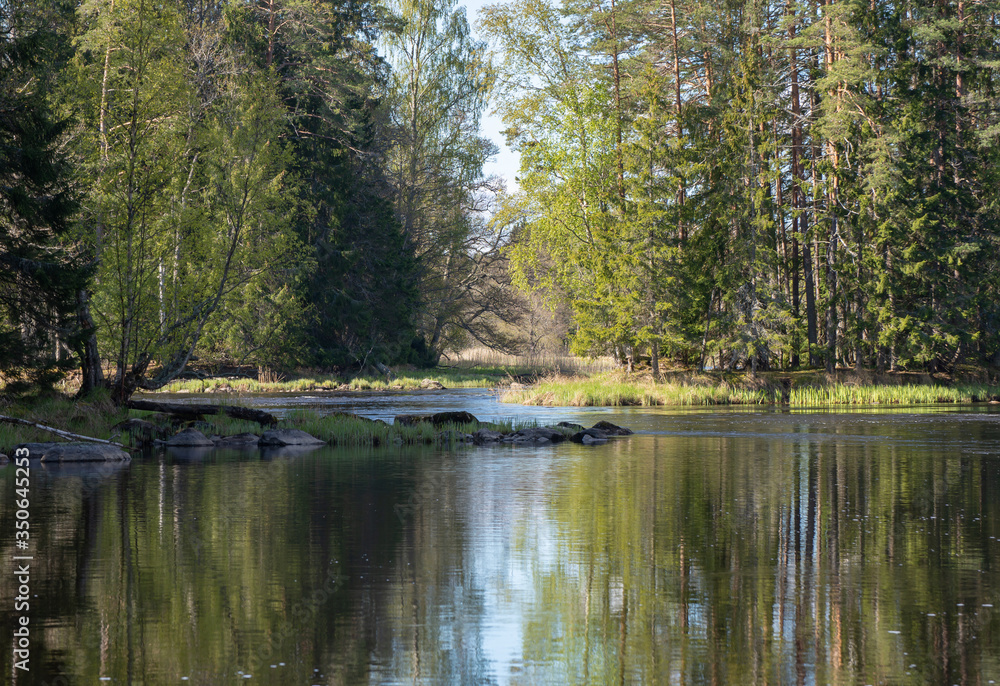 Scenic view of a river landscape in spring. Farnebofjarden national park in Sweden. Scenic view of a river landscape in spring. Farnebofjarden national park in Sweden.