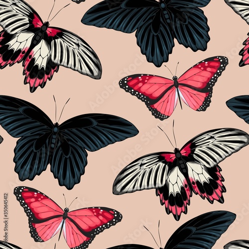 Canvas Print Vector pattern with high detailed black butterfly