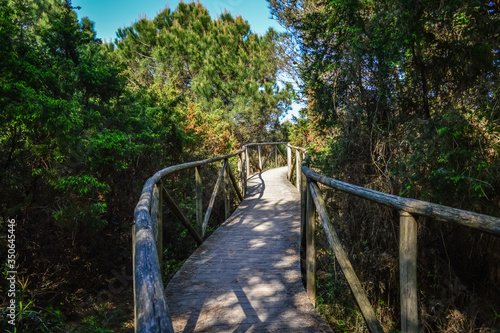 Wooden pathway through the Po Delta Botanical Garden in the salt marsh at Rosolina Mare  Italy.