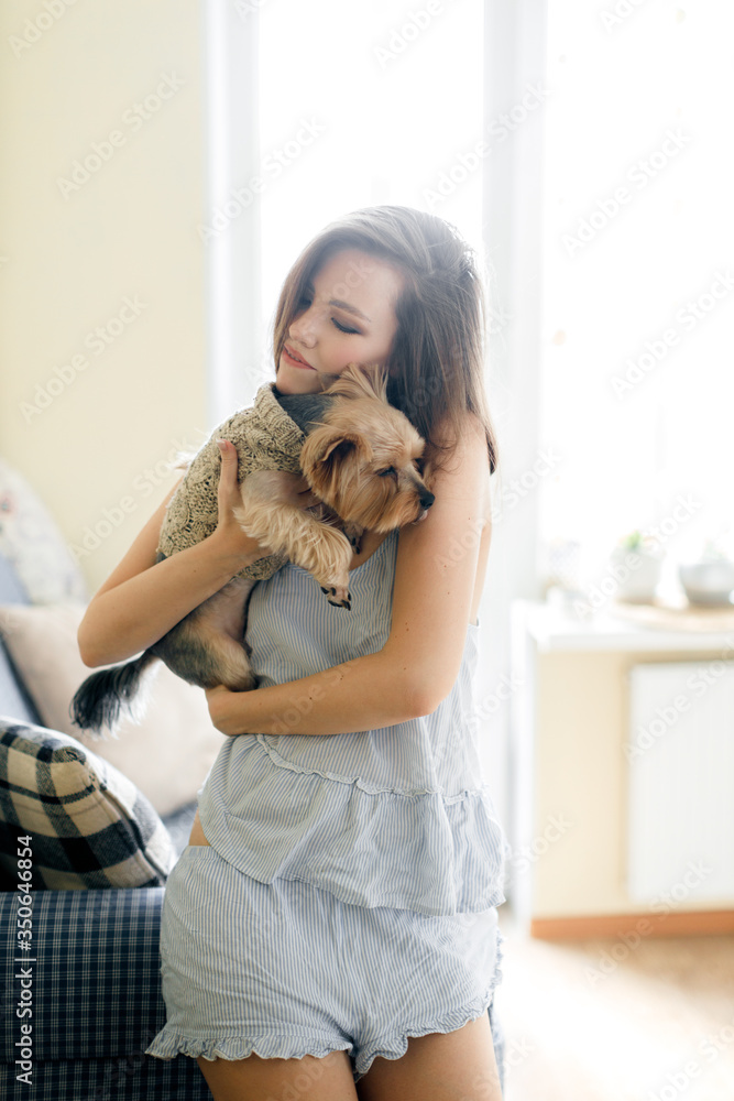 young woman sitting on a chair with small dogs young woman sitting on a chair with small dogs