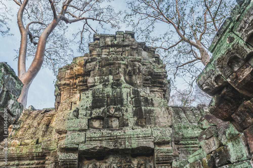 Naklejka premium Cambodia Angkor Wat Ta Prohm Temple Tomb Raider Tree Roots Ruins. Angkor Temples Ta Prohm. Siem Reap, Cambodia
