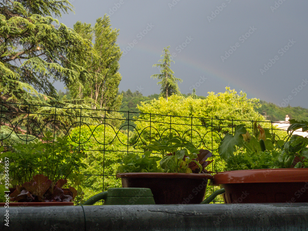 rainbow over my balcony spring time