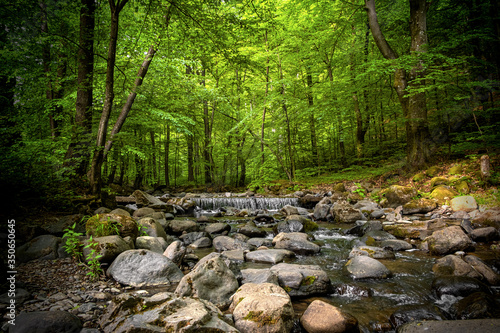 Creek in a mountain forest in spring time.