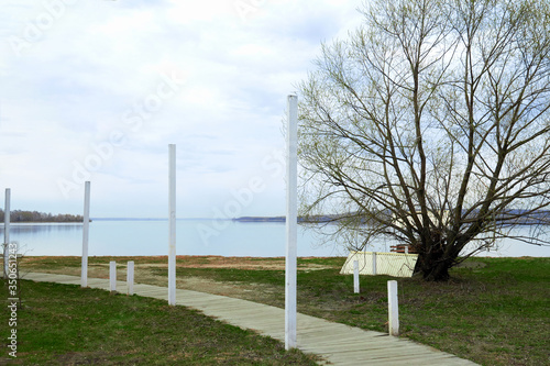 Wallpaper Mural The road is made of wooden planks and a green lawn on the seashore by the water. Concept of tourism and travel Torontodigital.ca