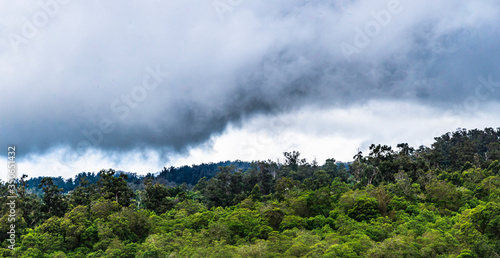 Upcountry Maui Landscape © Michel Emile