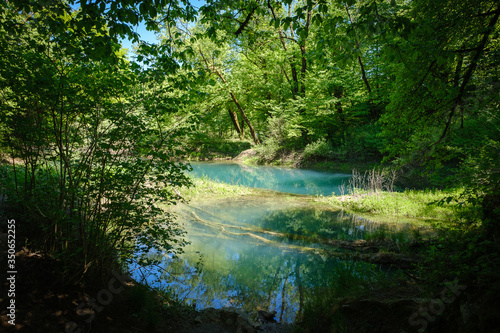 Fototapeta Naklejka Na Ścianę i Meble -  Rakov skocjan regional park with river Rak and unspoiled green nature