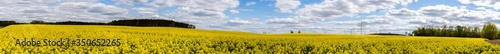Panorama of a blooming field of rapeseed against a clear blue sky with shades caused by clouds