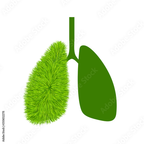 Green grass shaped like human lungs isolated on white background. Concept of healthy human lungs.