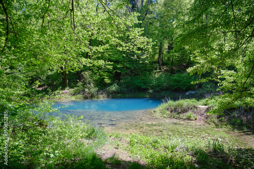 Rakov skocjan regional park with river Rak and unspoiled green nature