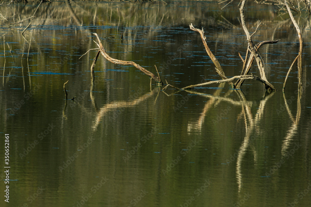 Riflessi  e forme sul lago Paola