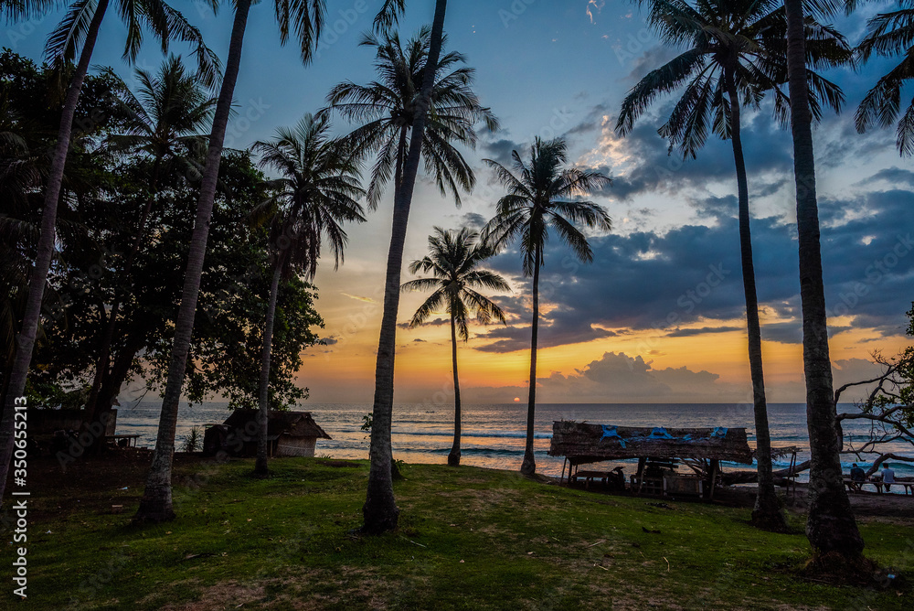 Obraz premium Sunset with palms in Lombok island in Indonesia