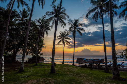 Sunset with palms in Lombok island in Indonesia