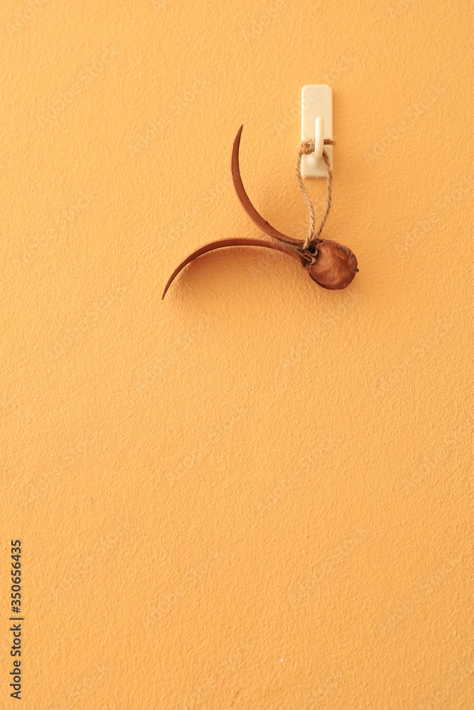 Yang Na balls are decorative items on the walls of the orange room. Yang Na balls are decorative items on the walls of the orange room.