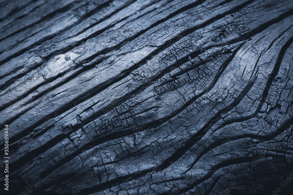 Old wood background. Charcoal texture. Bark details Old wood background. Charcoal texture. Bark details