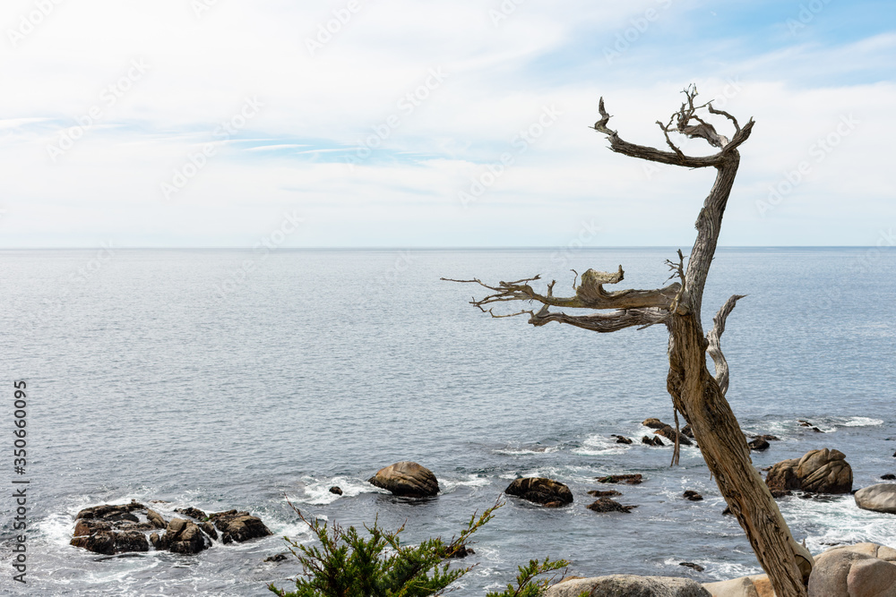 17 Mile Drive, California, USA