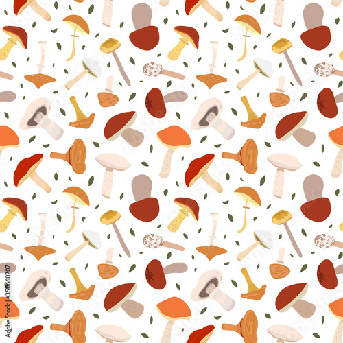 Seamless pattern with amanita forest mushrooms. Flat vector hand drawn background. Collection of different mushrooms with roots, real edible and poisonous boletus