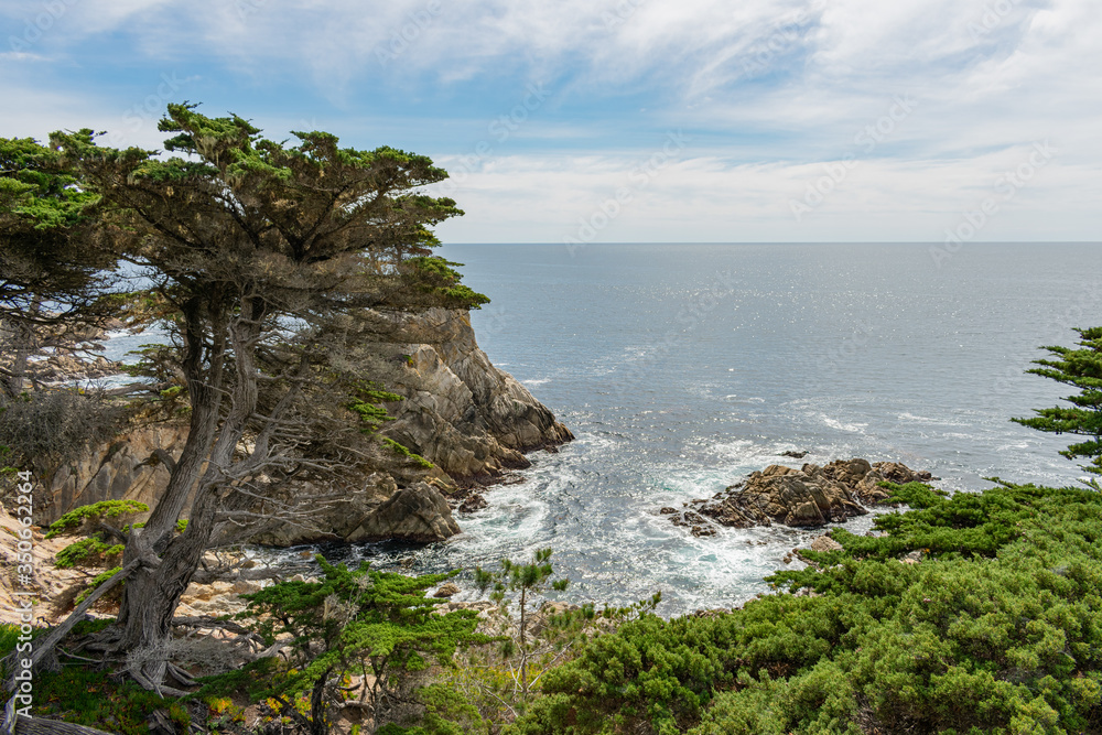 Fototapeta premium 17 Mile Drive, California, USA