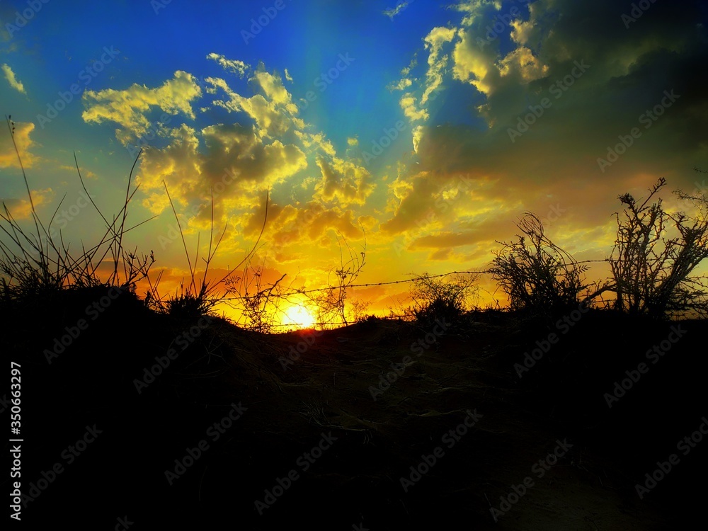 Naklejka premium sunset in the desurt Rajasthan