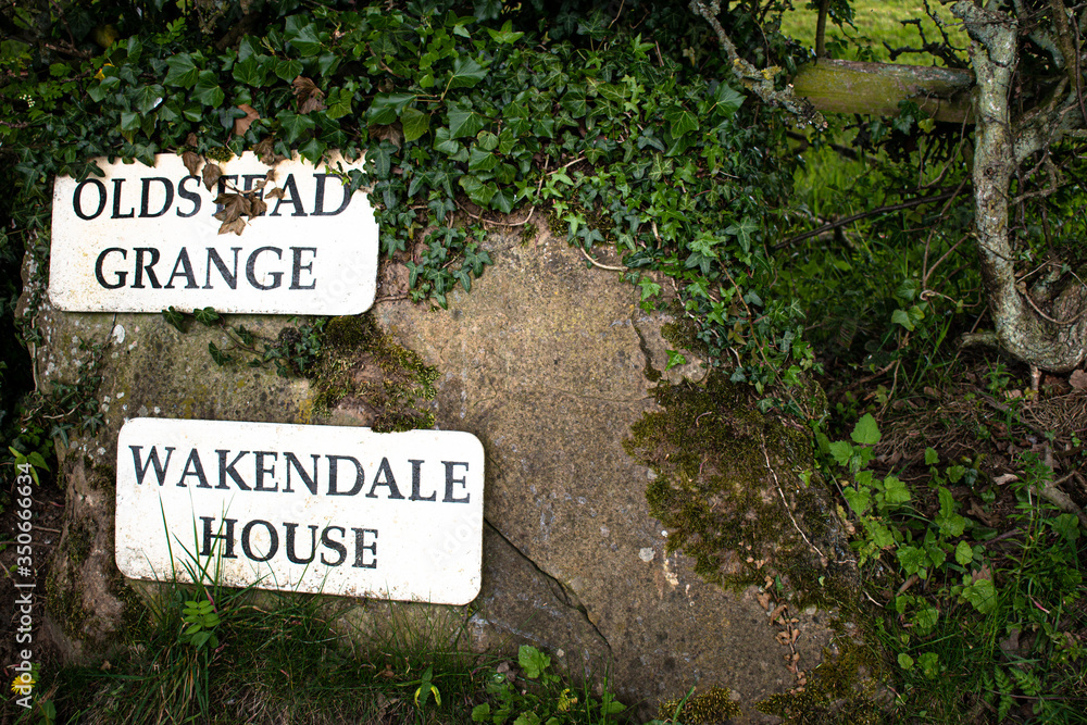 house signs being absorbed by the surrounding nature