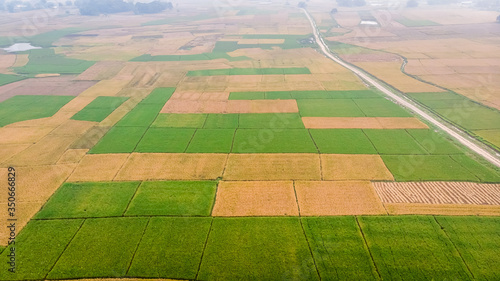 Aerial or Bird's eye view of freshly harvested wheat field in the flat lands of Nepal