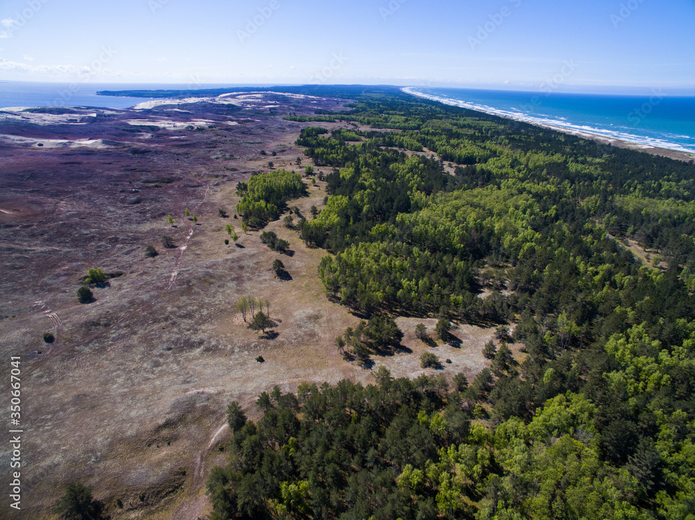 Aerial view with dunes, forest and sea in Curonian spit on a sunny day photographed with a drone. The Curonian Spit lagoon. Gray Dunes, Dead Dunes. 