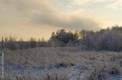 Sunrise in the snowy frosty forest © Михаил Осюхин