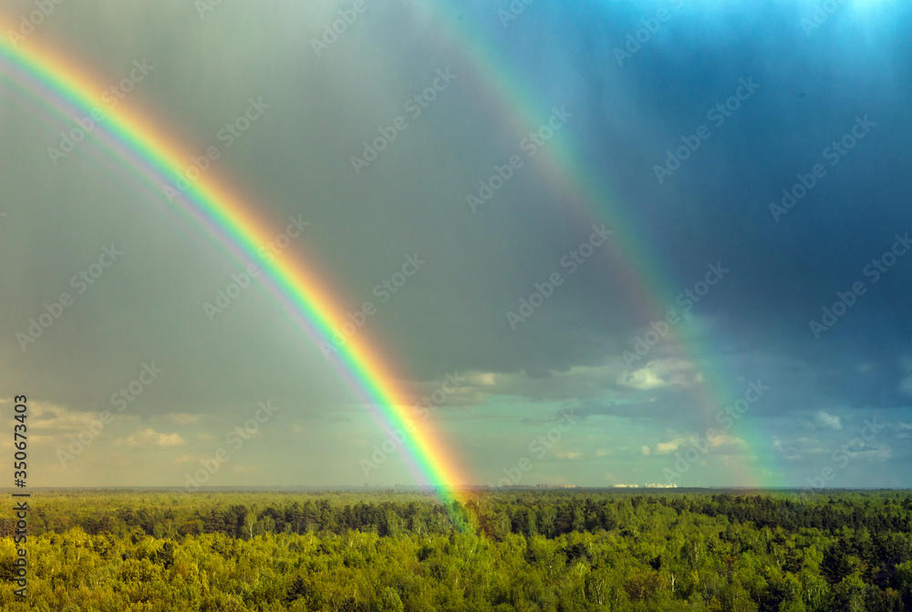 A rainbow on the horizon. seven colors of the rainbow in the sky above the forest. After the rain. Beautiful clouds.